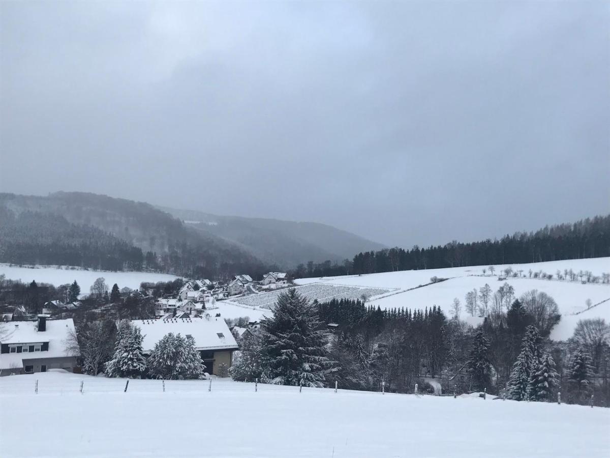 Appartement Familie Willems Winterberg Am Waltenberg Dış mekan fotoğraf